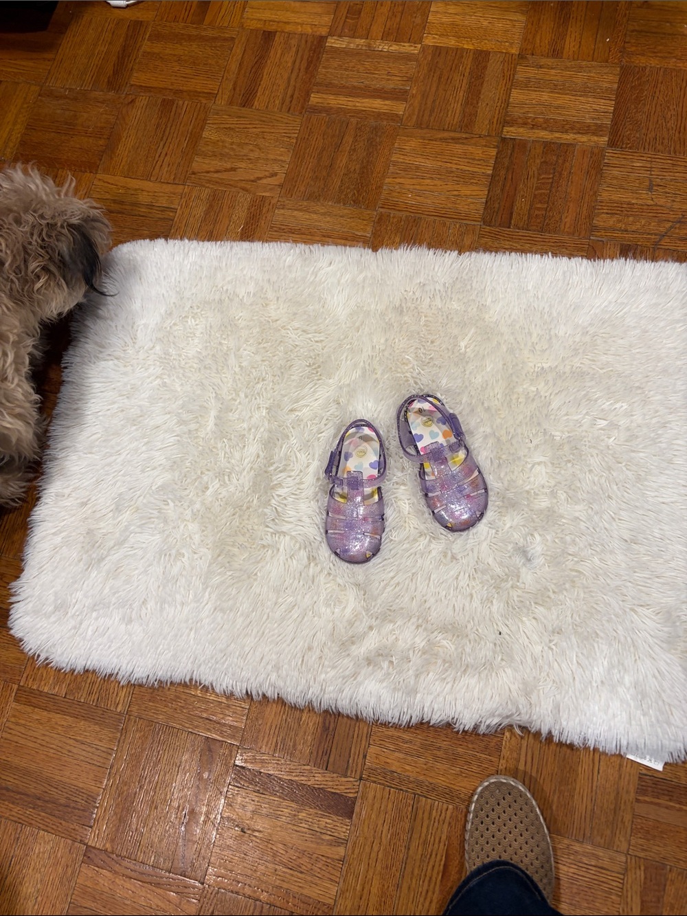 Kids' Glitter Jelly Sandals - Purple
